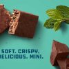 Être Recherché Clif Bar | Minis Au Chocolat Et A La Menthe